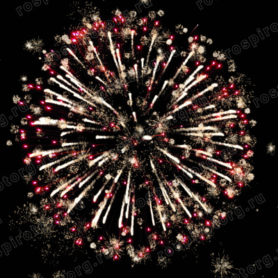 Фейерверк РС7385 Магия серебра (1,1 х 48 залпов) Русская пиротехника