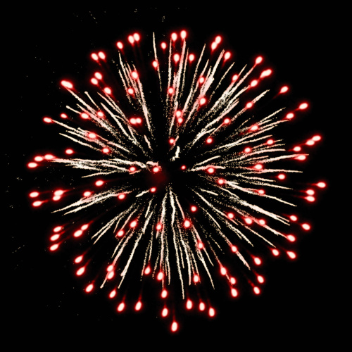 Фейерверк РС9290 Профессиональный 0,8, 1, 1,2 х 578 залпов