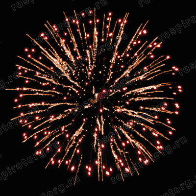 Фейерверк РС8880 Золотые пальмы 1,25 х 100 залпов