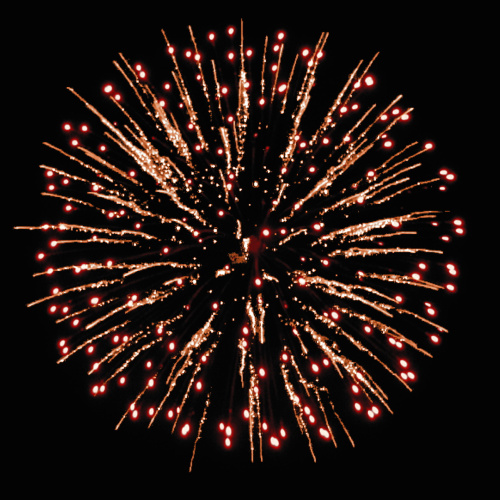 Фейерверк РС8880 Золотые пальмы 1,25 х 100 залпов