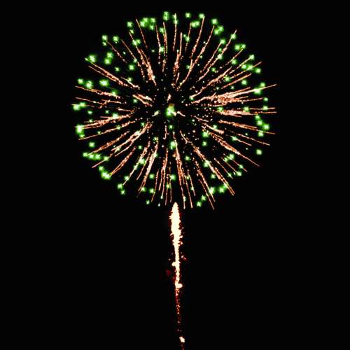 Фейерверк РС8880 Золотые пальмы 1,25 х 100 залпов