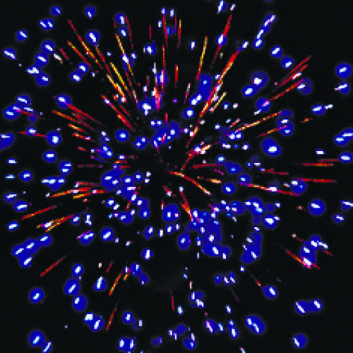 Салют Р7281 Крендель 0,8 х 25 залпов Русский фейерверк