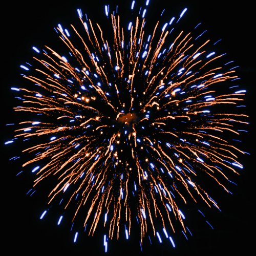 Фейерверк РС8225 Лось 1,25 х 25 залпов