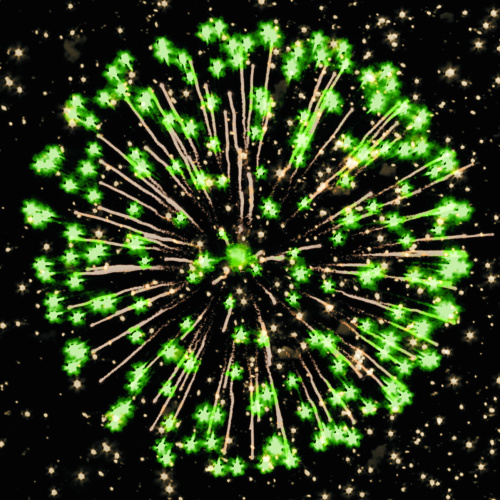 Фейерверк РС7360 49 попугаев+1 1,0 х 50 залпов