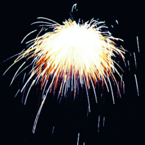 Петарда летающая Р3100 Солнечный цветок (1уп. х 6 шт)