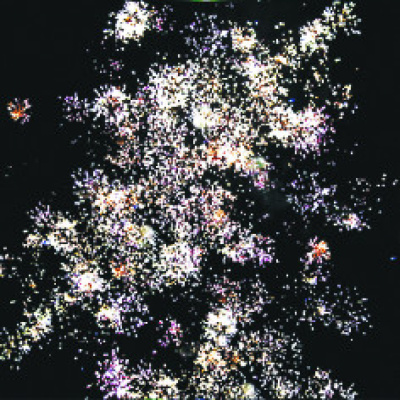 Римская свеча Р5540 Фантастика 0,8 х 8 залпов