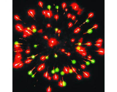 Римская свеча Р5542 Ламбада 8 залпов 1 шт