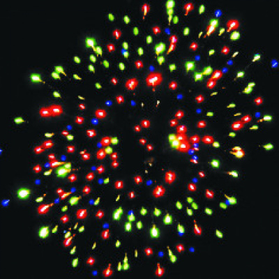 Римская свеча Р5540 Фантастика 0,8 х 8 залпов