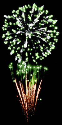 Фейерверк РС8892 Турболион 1,25 х 100 залпов