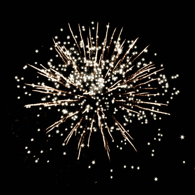 Римские свечи УПАКОВКА 2 шт Белые лебеди РС5290: (0,8 х 12 залпов) Русская пиротехника Римские свечи УПАКОВКА 2 шт Белые лебеди РС5290: (0,8 х 12 залпов) Русская пиротехника